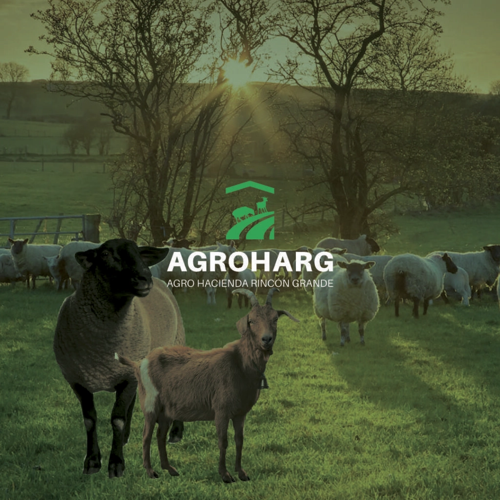 AgroHarg